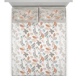 Ddecor Live beautiful Omega Brown 144 TC Cotton Queen Bedsheet with 2 Pillow Covers image 3