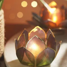 Pure Home and Living Green & Blue Ombre Metal 12 Petals Capiz Tealight Holder-picture-27