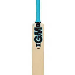 GM Beige Neon 101 Kashmir Willow Cricket Bat (4)-image-9