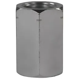 Chiffon Hex Socket Stainless Steel 3.18 mm (1/8 inch NPT), CI/001/SS/163-image-36