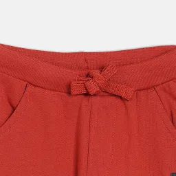 Miniklub Boys Red Cotton Joggers image 3