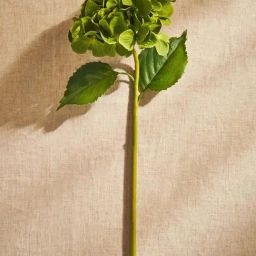 Pure Home and Living Green Plastic Hydrangea Faux Single Flower Stem-picture-18