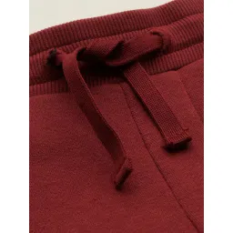 Allen Solly Boys Maroon Cotton Regular Fit Track Pants image 4