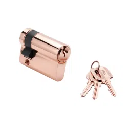 Quba Euro Profile Half Cylinder With Regular Key Brass 35 mm RGPVD Finish, Q HK-picture-40
