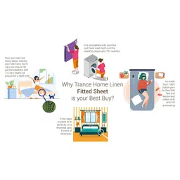 Trance Home Linen Pure Cotton Soft and Skin Friendly 200 TC King Fitted Printed Elastic Bedsheet with 2 Pillow Covers 78 x 72 Inches -  Calicut White image 4