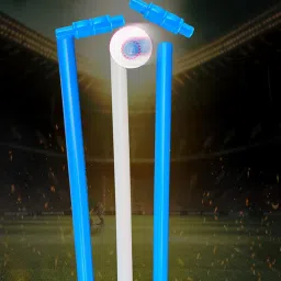 Jaspo Revive World Cup Edition PVC Cricket Ball Only-Durable and Ideal image 3