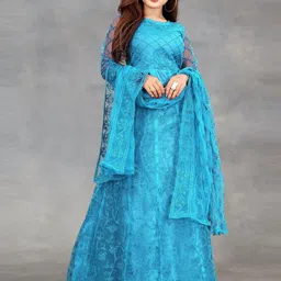 Aika Embroidered Net Fit & Flare Maxi Dress image 4