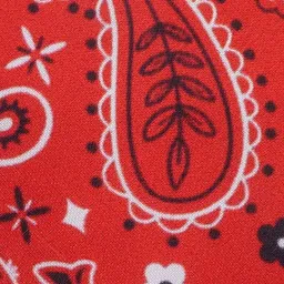 CALIXTO Men Printed Ascot Tie image 3