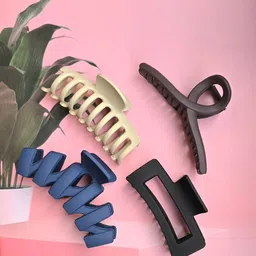 SZN Women Set of 4 Claw Clip-picture-37