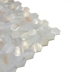 generic ZAM Crafts 100% Natural Shell Mosaic Tiles for Home Decoration, DIY Crafts, 100 Pieces Mother of Pearl Shell Tiles for DIY Mosaic Art, Home Decorations Projects, 18x18 image 1