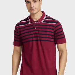 Colorplus Maroon Cotton Regular Fit Striped Polo T-Shirt-image-2