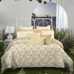 mytrident MyMytrident Aroma Fragrance 1 King Size Bedsheet with 2 Pillow Covers,-picture-26