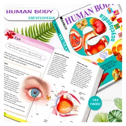 hellofriend books The Ultimate Encyclopedia of Human Body: A Comprehensive Guide for Curious Minds of  All Ages image 2