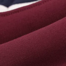 U.S. Polo Assn. Denim Co. Purple Cotton Regular Fit Colour Block Sweatshirt image 4