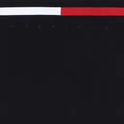 Tommy Hilfiger Kids Desert Sky Regular Fit T-Shirt image 4