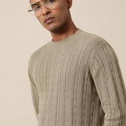 Mr Bowerbird Men Brown Cable Knit Pullover-picture-37