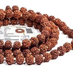 FIRMUS 5 Mukhi Rudraksha Mala for Jaap and Men/Women Wearing (8 mm, Large Bead Size, 108+1 Beads, Lab Certified) - Natural Brown Rudraksha Beads - Pack of 1 (5.5 MM) image 2