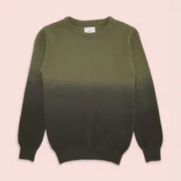 Pantaloons Junior Olive Color Block Full Sleeves Sweater-image-30