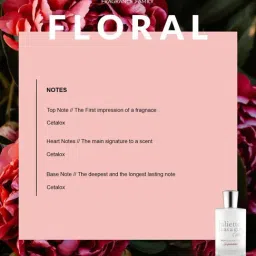 Juliette Has A Gun Not A Perfume Superdose Unisex Eau de Parfum - 100 ml image 2