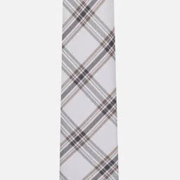 Van Heusen White Polyester Checks Tie image 3