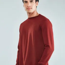 Hoversoul Maroon Regular Fit Sweatshirt image 3