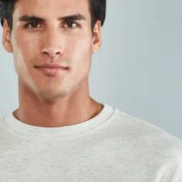 Hoversoul Grey Melange Regular Fit Sweatshirt image 5