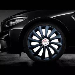Auto Pearl R12 Press Type With Rentention Ring PT36 Wheel Cover for Maruti Alto 800 30.761 cm image 5