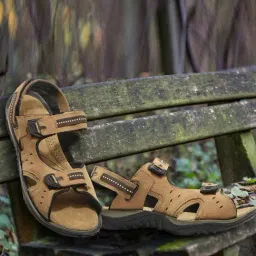 Woodland Men's Tan Floater Sandals-image-47