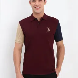 Allen Solly Maroon Cotton Regular Fit Colour Block Polo T-Shirt-image-52
