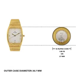 Titan Karishma NS9315YM01 Analog Watch for Men image 4