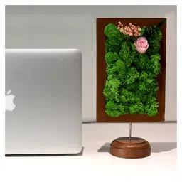 mybageecha A Dainty Bloom in Pink Tabletop Preserved Moss Frame image 3