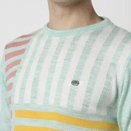 Peter England Casuals Men Green Pullover image 5