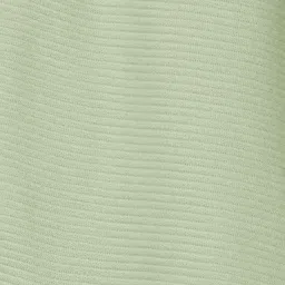 Fame Forever by Lifestyle Kids Sage Regular Fit Shorts image 4