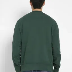 American Eagle Green Cotton Regular Fit Logo Printed Sweatshirt image 2