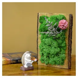 mybageecha A Frosty Floret Tabletop Preserved Moss Frame in Wooden Bark-image-83