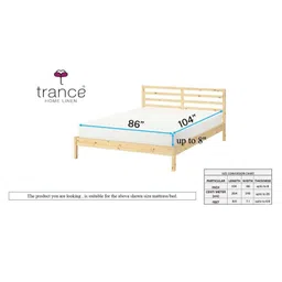 Trance Home Linen Soft Pure Cotton Flat Double Queen Bedsheet with 2 Pillow Cover- Dori Forest Green image 3