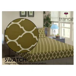 Trance Home Linen Soft Pure Cotton Flat Double Queen Bedsheet with 2 Pillow Cover- Dori Forest Green image 4