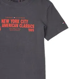 TOMMY HILFIGER Boys Grey Printed Regular Fit T-Shirt image 4