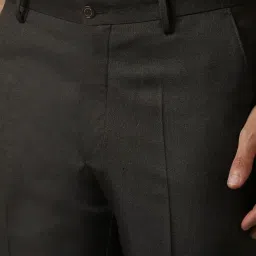Louis Philippe Brown Regular Fit Self Pattern Trousers image 4