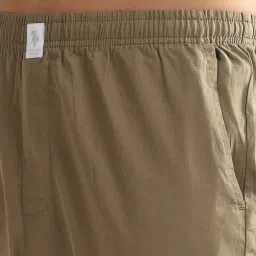 U.S. Polo Assn. Light Olive Regular Fit Lounge Pants image 4