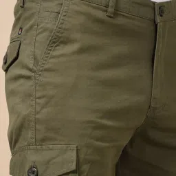 Bushirt Military Green Regular Fit Cargo Shorts image 4