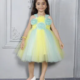 Ministitch Net Woven Sleeveless Floral Applique Detailed & Colour Blocked Dress - Lemon Yellow image 1