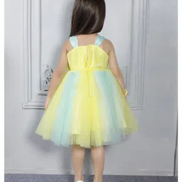 Ministitch Net Woven Sleeveless Floral Applique Detailed & Colour Blocked Dress - Lemon Yellow image 3