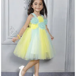Ministitch Net Woven Sleeveless Floral Applique Detailed & Colour Blocked Dress - Lemon Yellow image 4