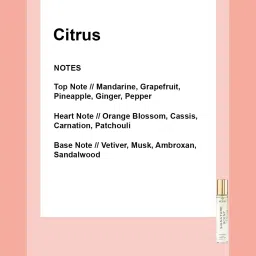 NEESH Signature Scent Extrait de Parfum for Men - 15 ml image 5