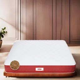 COIRFIT White & Maroon Quilted Cotton Chemical Free Single Size Orthopedic Mattress-picture-17