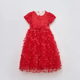 Blue Giraffe Girls Red Embroidered Dress-picture-37