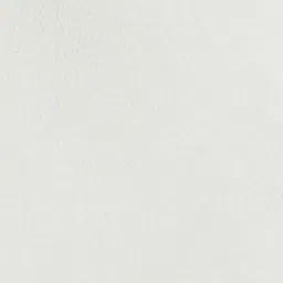 Pepe Jeans White Cotton Shorts image 5