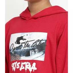 Lil Tomatoes Boys Light Weight Cotton Looper Sweatshirt image 5