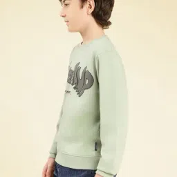 Lil Tomatoes Boys Oilgreen Printed Sweatshirt image 3